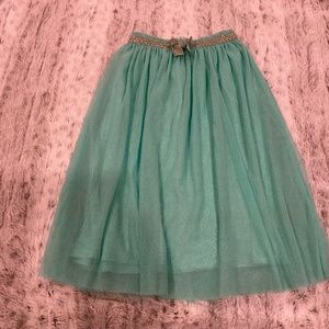 Teal Skirt